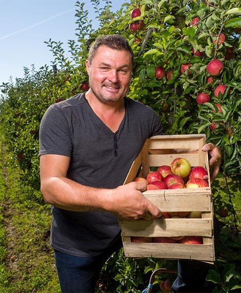 Talbot Fruit