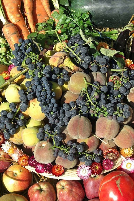 Fruits