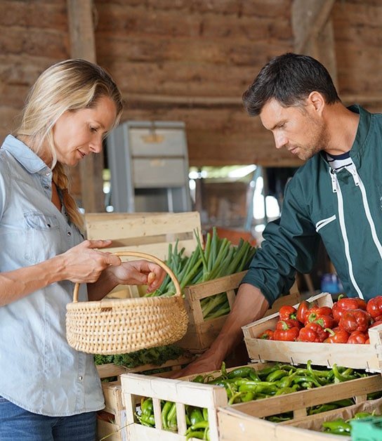 vente légumes