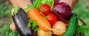Quels légumes manger en été ?