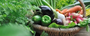 légumes