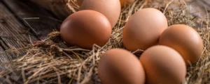 oeufs