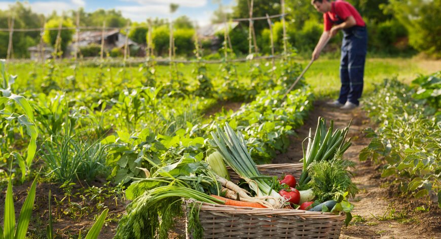 agriculture locale